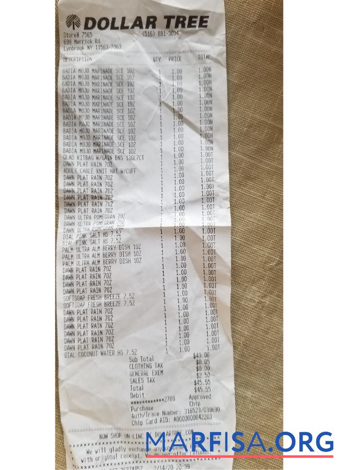 Blank Dollar tree store check real example